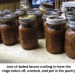 Baked-beans