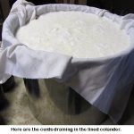 Cheese-curds