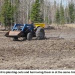 Planting-oats_8743