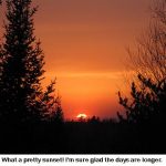 Sunset