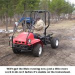 Will-mule_8765