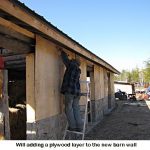 Will-plywood
