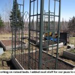 raised-beds_8769