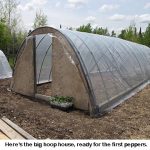 Big-hoop-house_8930