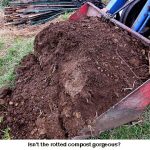 Compost_8789