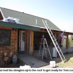 Shingles_8781