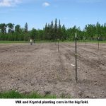 Planting-corn_9036