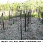 Wire-cages_9125