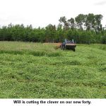 Cuttinghay_9221