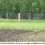 Fence_9267