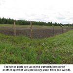 Fenceup_9233