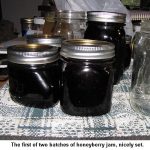 Honeyberryjam_9200