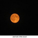 Moon_9567