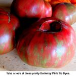 Pink-tie-dyes_9678