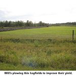 Thin-hayfield_9552