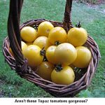 topaz_9732