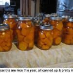 Carrots_9871