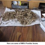 Provider_9826