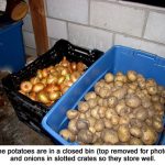 Spuds_9883