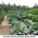 Garden_5799