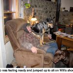 Hondo-sitting_9997