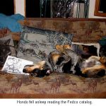 Hondo-Fedco_0064