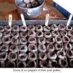 Pepper-pellets_0066-(3)