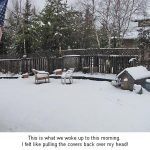 Snow_0088