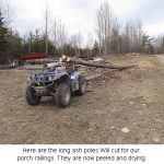 AshPoles_0158