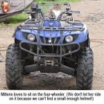 Mittens_4-wheeler_0294