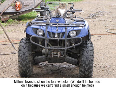 Mittens_4-wheeler_0294