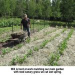 Will_Mulching_0357