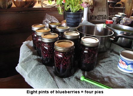 Blueberries_0505