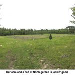 Northgarden_0330