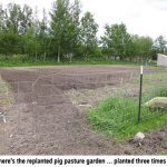 piggarden_0331