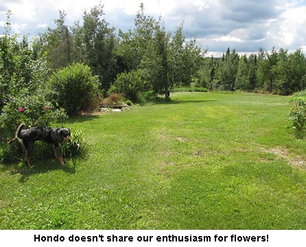 Hondo_0529