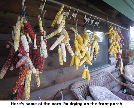 corndrying_0882