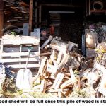 wood_1205