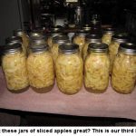 apples_1223