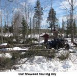 Hauling-firewood_1451