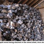 Woodshed_6254