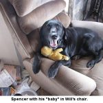 Spencer-baby_1609