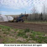 Black-dirt_1685