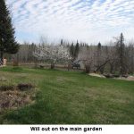 Will_front-garden_1683