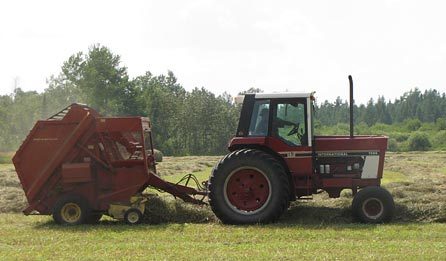 Our homestead has grown another 40 acres
