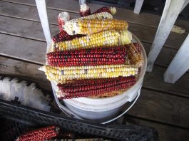 We’ve really been rushing around lately