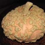 Peanut-pumpkin_2349