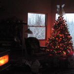 Christmastree_2500