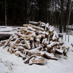 Wood-pile_2489