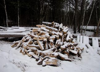 Winter seems to be setting in for good